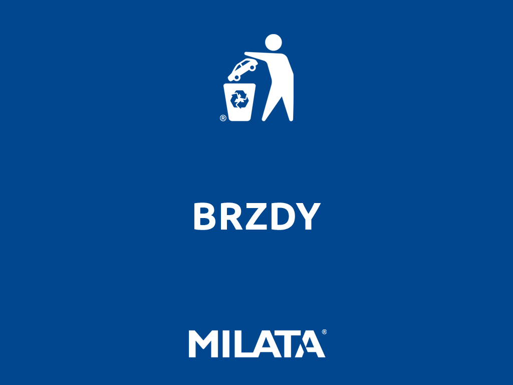Brzdy Suzuki
