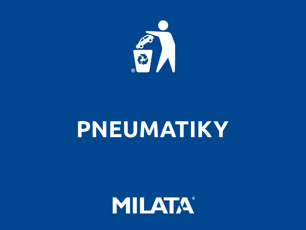 Pneumatiky Multicar