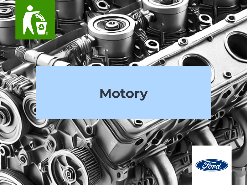 Motory Ford
