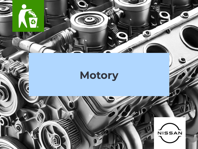 Motory Nissan